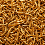Dried Mealworms 5L Refill Bag 800g High Protein Wild Bird Food Garden Birds