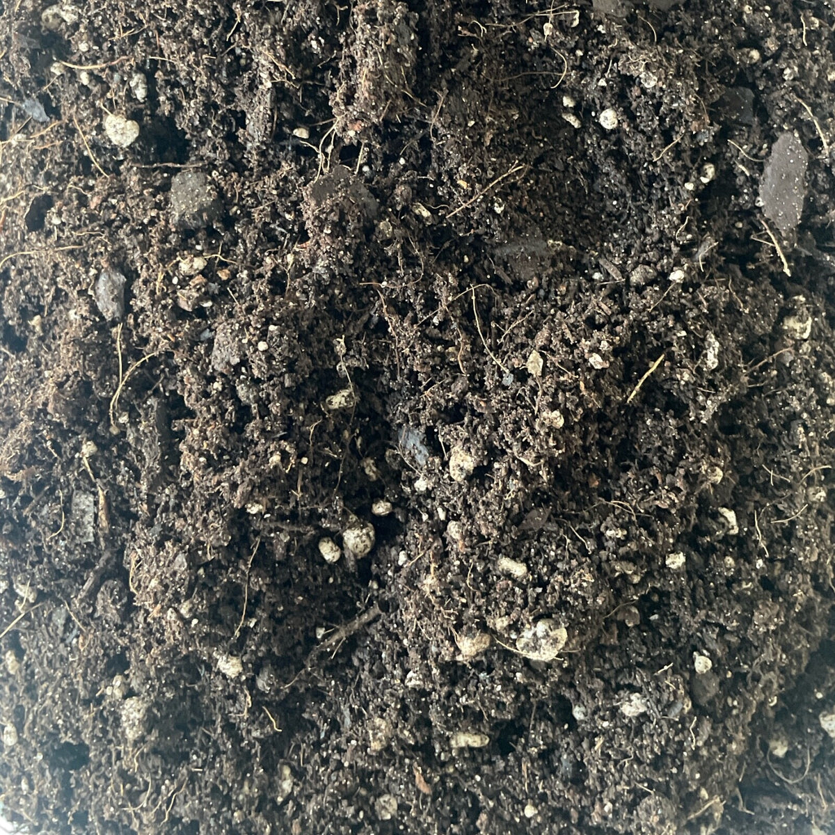 Organic House Plant Compost Fast-Drain Mix with added Perlite Indoor Plant Soil