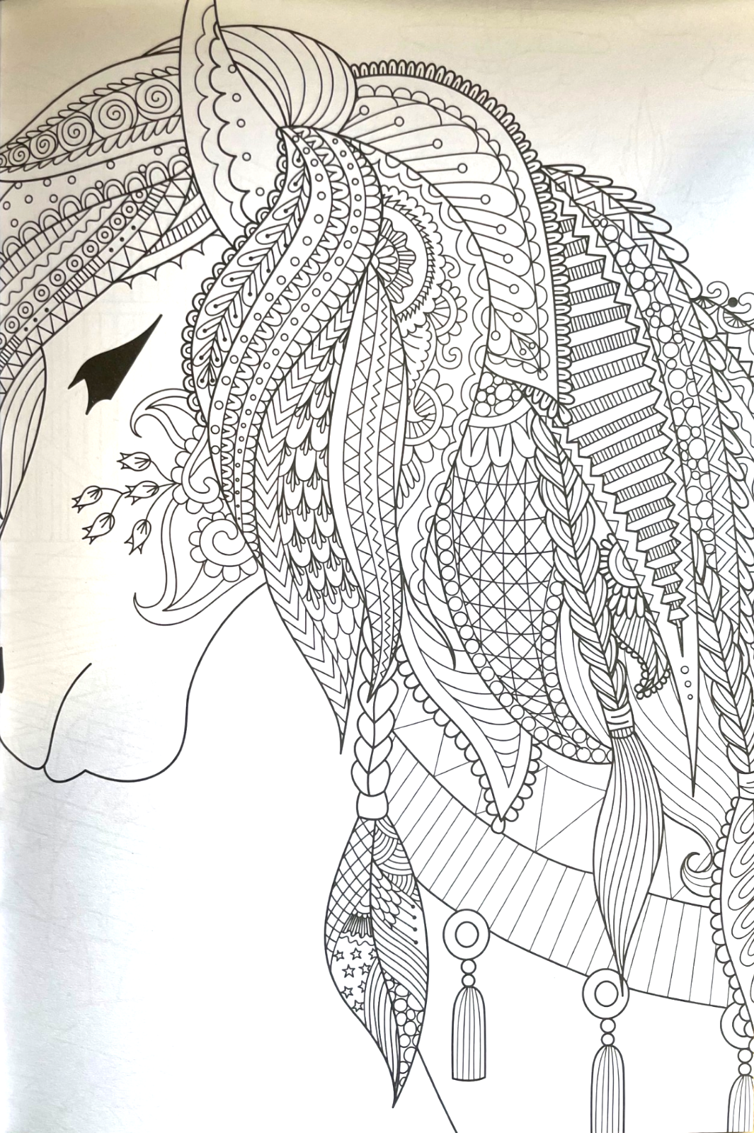 Animal Colouring Book A4 - Adult Anti Stress 48 Page Book For Relaxing Mind Gift