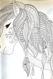 Animal Colouring Book A4 - Adult Anti Stress 48 Page Book For Relaxing Mind Gift