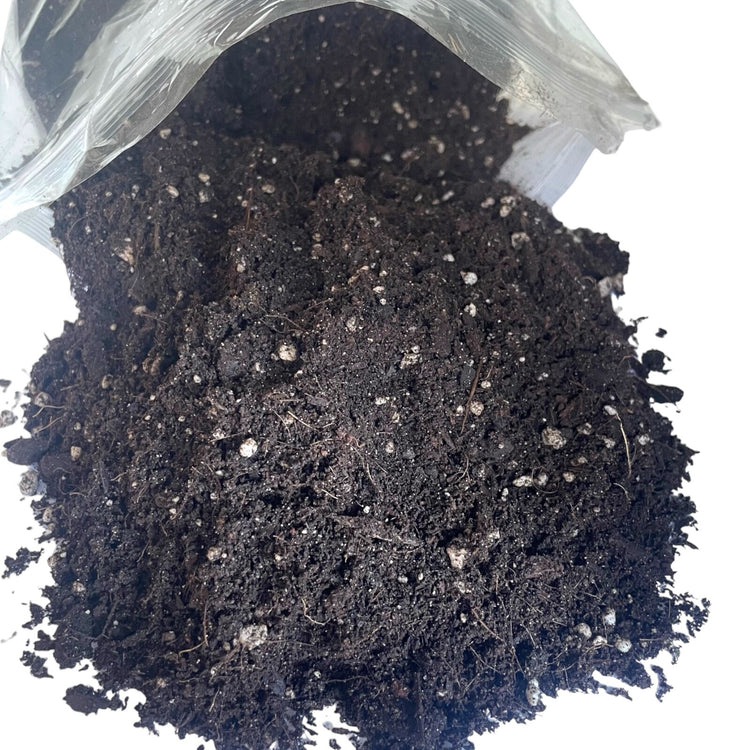 Organic House Plant Compost Fast-Drain Mix with added Perlite Indoor Plant Soil
