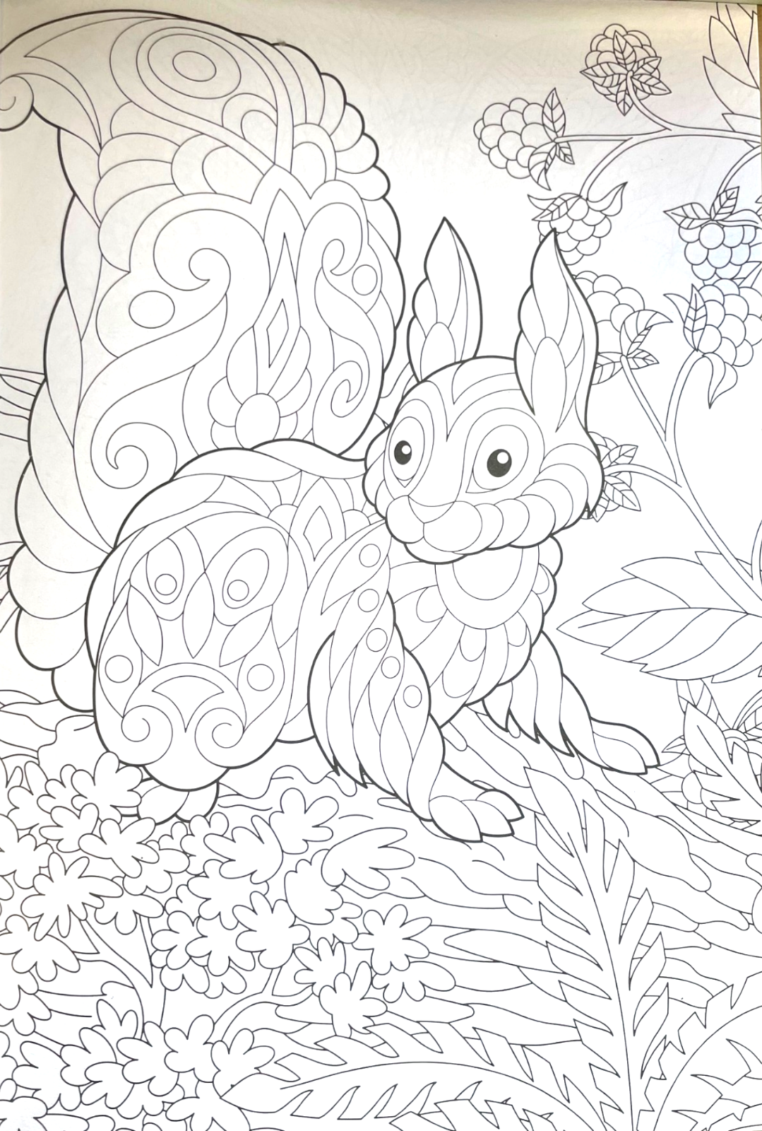 Animal Colouring Book A4 - Adult Anti Stress 48 Page Book For Relaxing Mind Gift