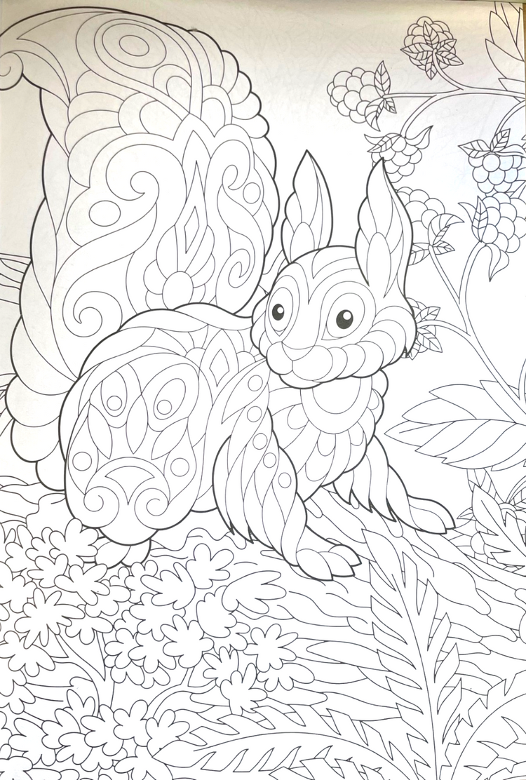 Animal Colouring Book A4 - Adult Anti Stress 48 Page Book For Relaxing Mind Gift