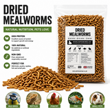 Dried Mealworms Premium Wild Bird Food High Protein Garden Bird Treat Natural