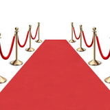 30ft Red Carpet VIP Floor Runner Party Decoration Prom Birthday Photo Prop Idea