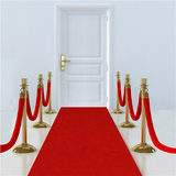30ft Red Carpet VIP Floor Runner Party Decoration Prom Birthday Photo Prop Idea