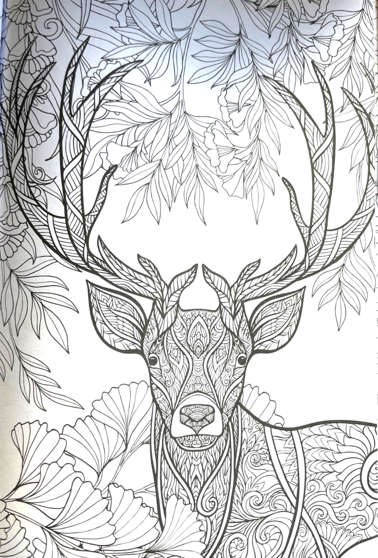 Animal Colouring Book A4 - Adult Anti Stress 48 Page Book For Relaxing Mind Gift