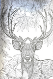 Animal Colouring Book A4 - Adult Anti Stress 48 Page Book For Relaxing Mind Gift