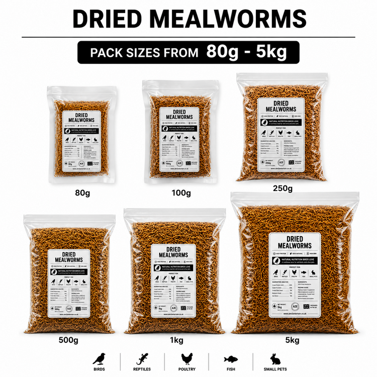 Dried Mealworms Premium Wild Bird Food High Protein Garden Bird Treat Natural