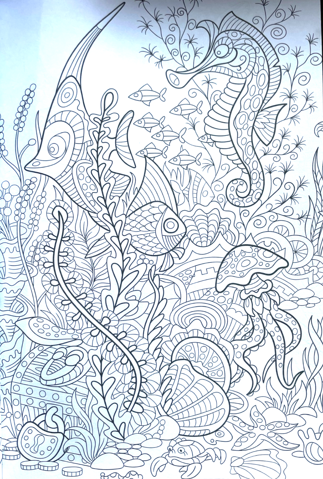 Sealife Colouring Book A4 - Adult Anti Stress 48 Page Book Relaxing Sea Animals