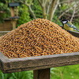 Dried Mealworms Premium Natural Wild Bird Food High Protein Garden Bird Treat