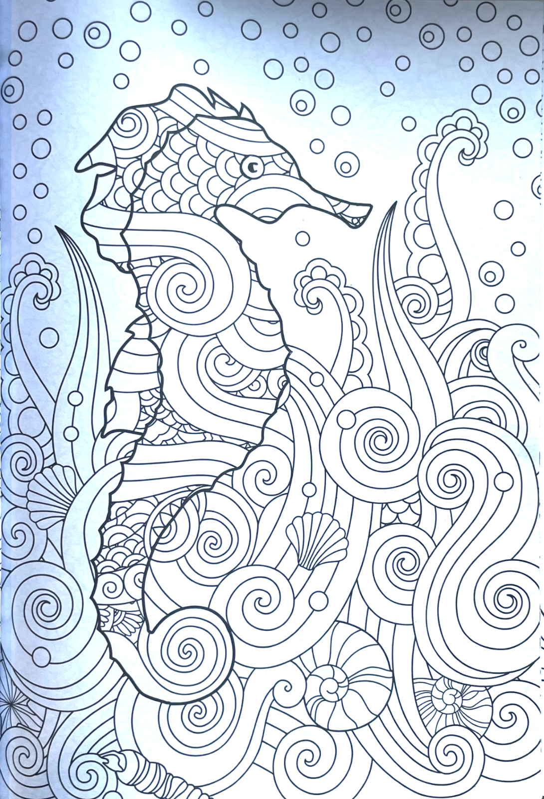 Sealife Colouring Book A4 - Adult Anti Stress 48 Page Book Relaxing Sea Animals