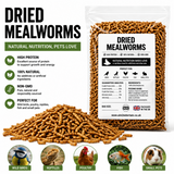 Dried Mealworms Premium Natural Wild Bird Food High Protein Garden Bird Treat