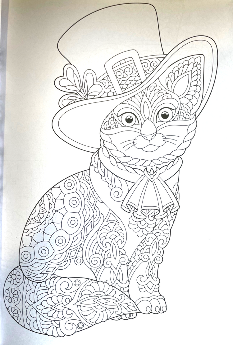 Animal Colouring Book A4 - Adult Anti Stress 48 Page Book For Relaxing Mind Gift