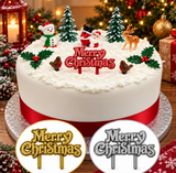 10pc Christmas Cake Topper Set Santa Snowman Reindeer Holly Yule Log Decorations