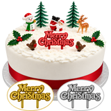 10pc Christmas Cake Topper Set Santa Snowman Reindeer Holly Yule Log Decorations