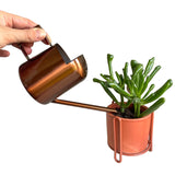Bronze indoor watering can