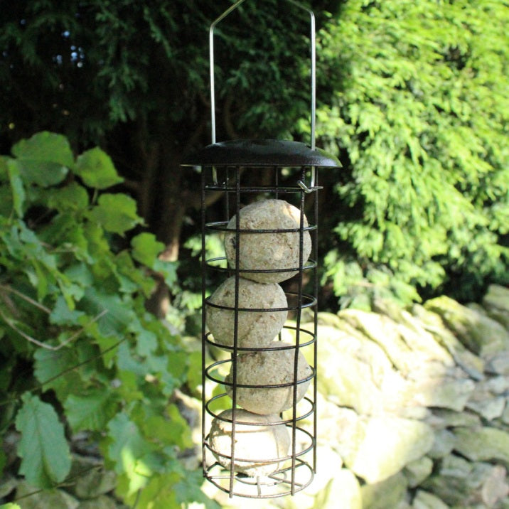 Bird Feeder Seed Nut Suet Ball Metal Hanging Wild Garden Bird Food Station Brown