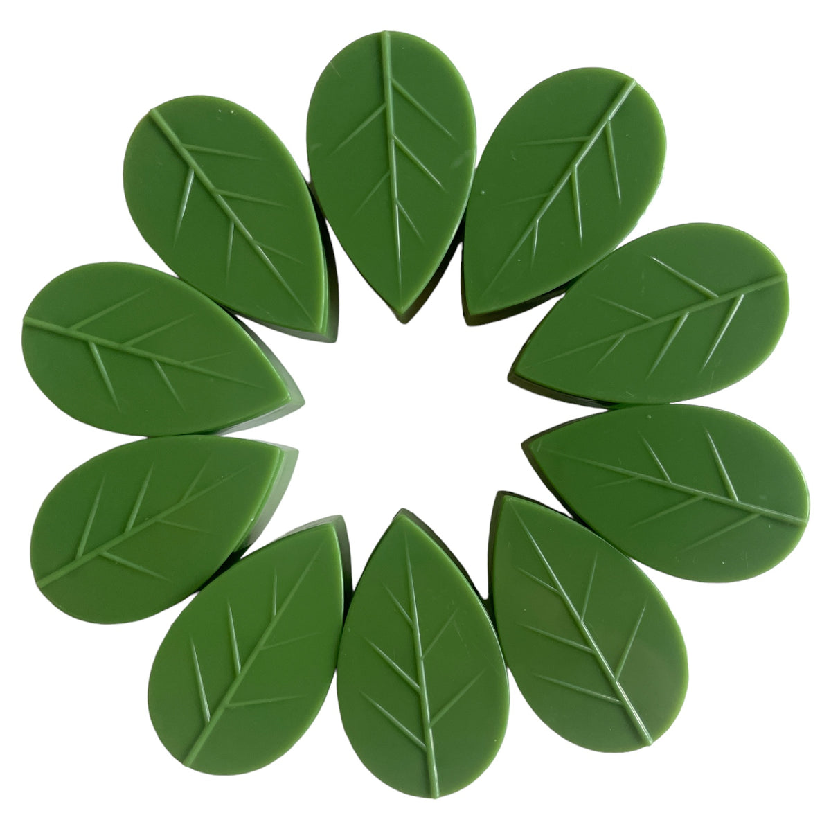 indoor Plant wall clips
