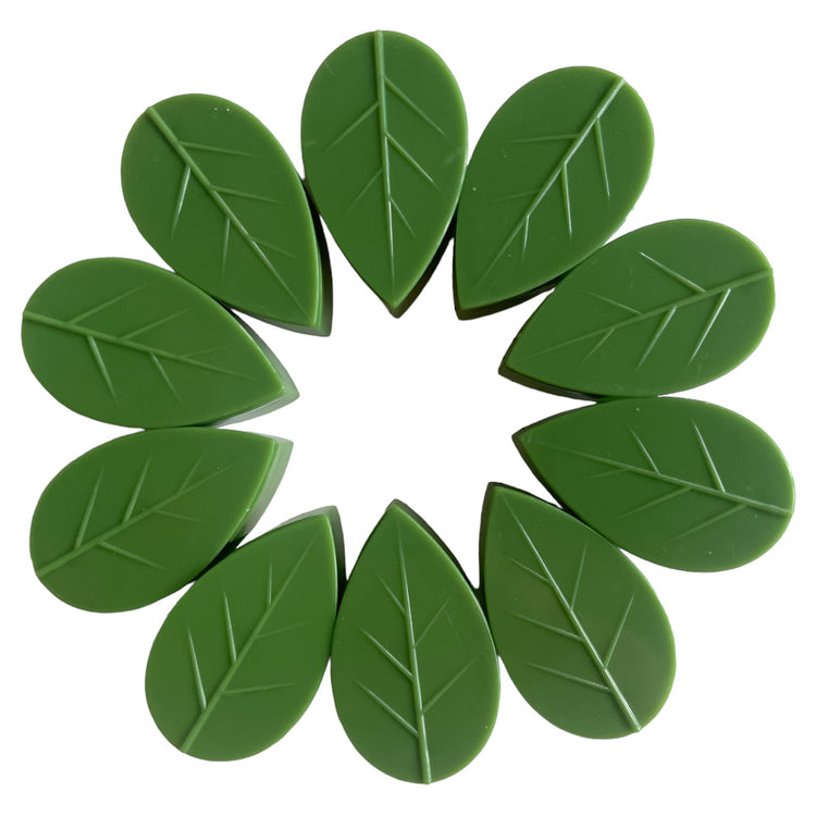 indoor Plant wall clips