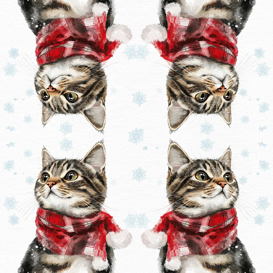 Festive napkins with a cat wearing a scarf