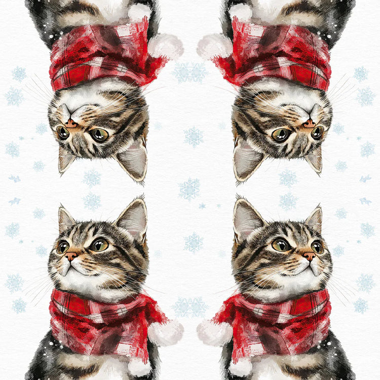 Festive napkins with a cat wearing a scarf