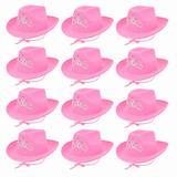 Pink Cowgirl Hat Adult Western Fancy Dress Hen Do Tiara Cowboy