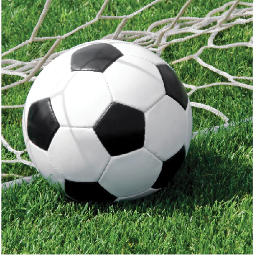 football party tableware napkins