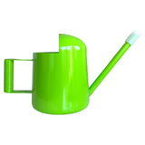 Decorative watering can green