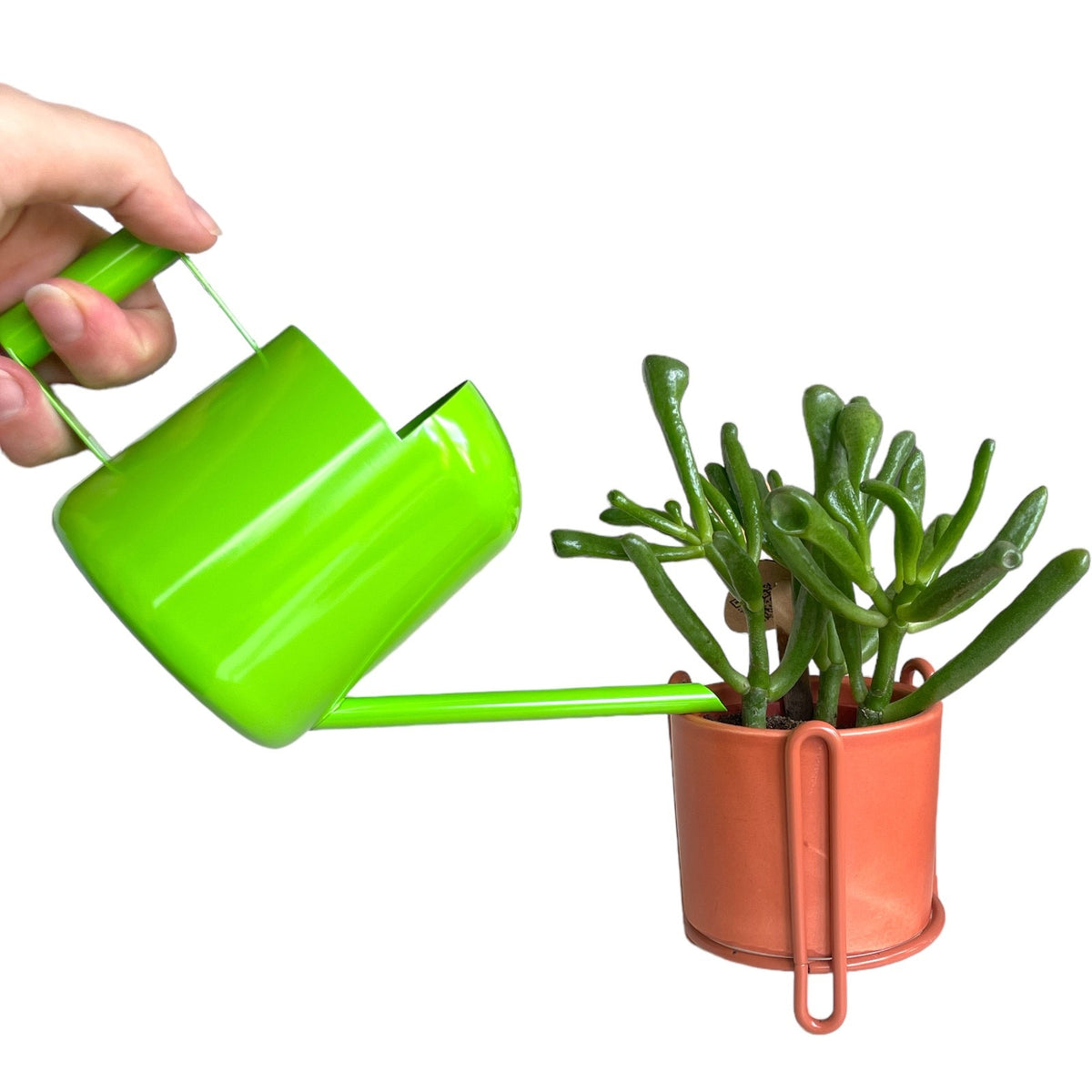 Green indoor watering can