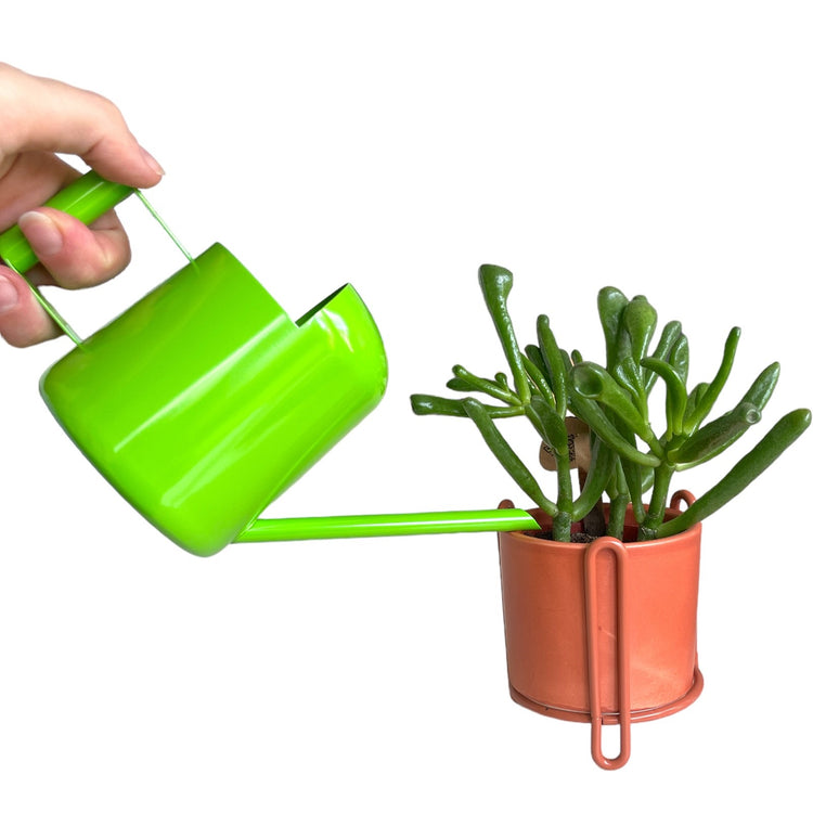 Green indoor watering can