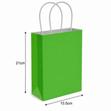 Green Party Gift Bag With Handles Small Present Loot Favours Paper Bags