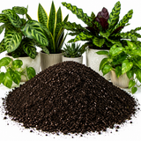 House Plant Compost Potting Mix Indoor Plant Pot Multi Purpose Soil With Perlite