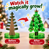Before-and-after promotional graphic showing a small Christmas tree product. On the left, labeled 'Before,' the tree is brown and leafless with a green base and the text 'Just add the magic water.