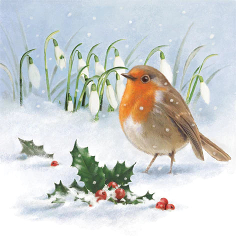 Christmas Tableware robin and snowdrops napkins