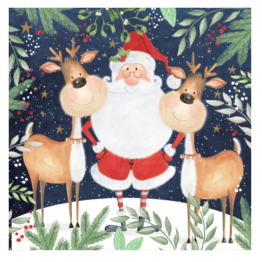 Christmas Tableware santa and reindeer napkins