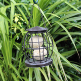 Small caged bird feeder with suet balls