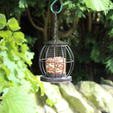 Small caged bird feeder with nuts
