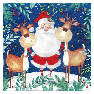 Christmas Tableware santa and reindeer napkins