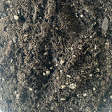 House Plant Compost Potting Mix Multi Purpose Indoor Plant Pot Soil With Perlite