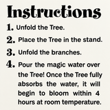 A text-based instructions graphic with the heading 'Instructions' and four numbered steps: unfold the tree, place it in the stand, unfold the branches, and pour the magic water over the tree, set on a light beige background.