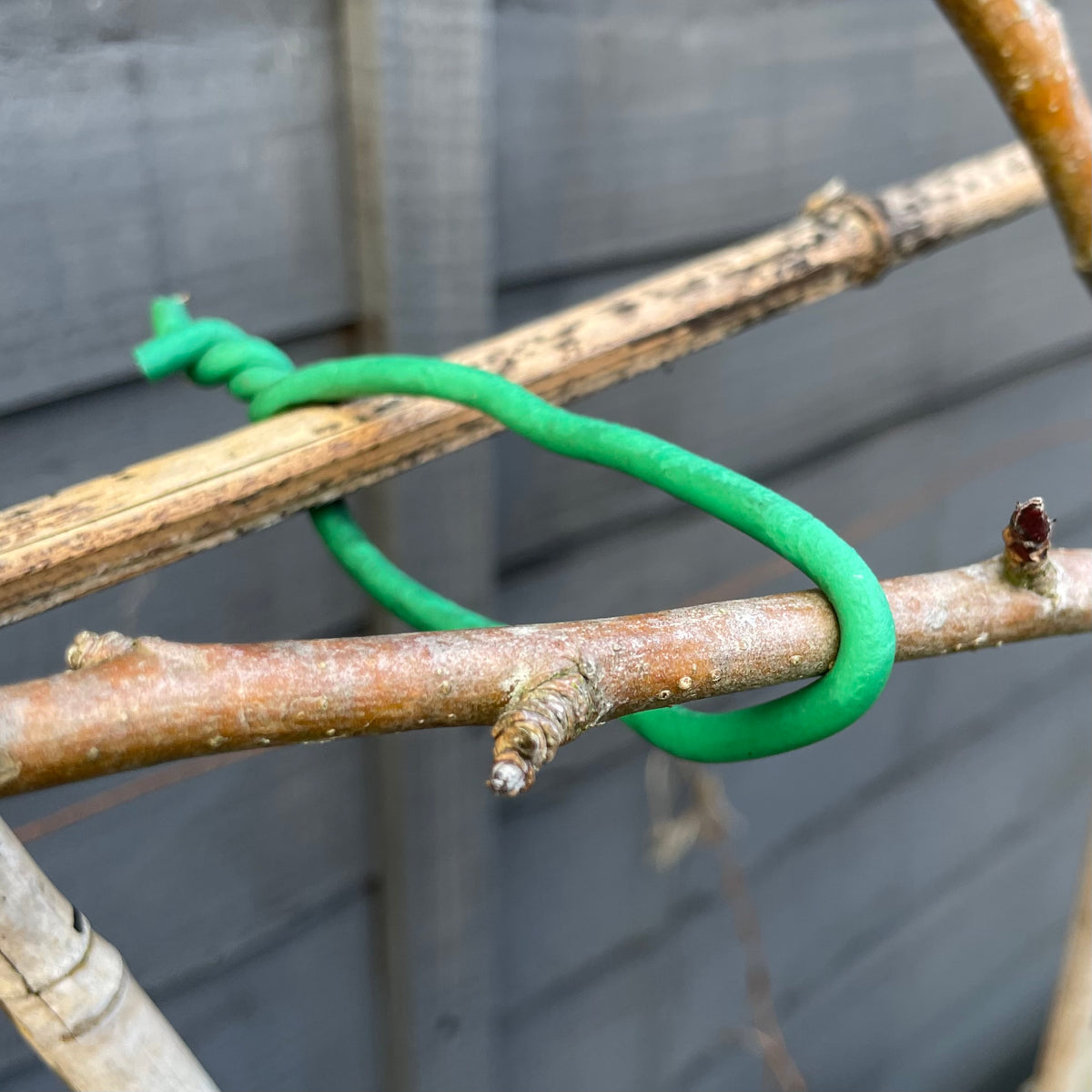 Bendy garden wire supporting branch demo