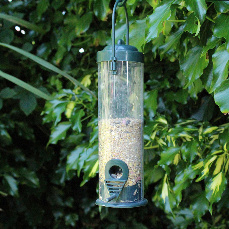wild bird seed feeder hanging